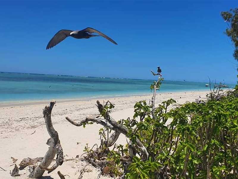 ile-aux-deux-coco
